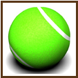 Tenis Explorer TD